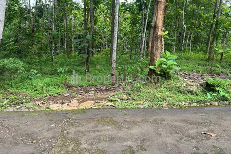 Jual Tanah Datar 2293m² 300 Juta Karanganyar