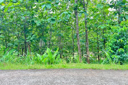 Jual Tanah Kebun Jati 1517m² di Kerjo, Karanganyar