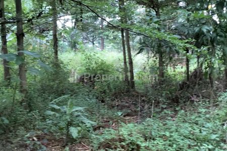 Dijual Tanah di Bedahan Sawangan, Depok, Jawa Barat