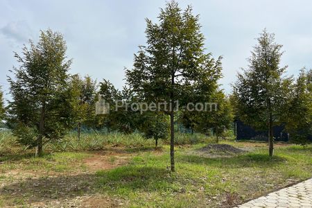 Dijual Kebun Durian Bonus Villa View Gunung Lawu di Kerjo, Karanganyar