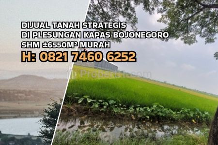 Dijual Tanah SHM Strategis di Kapas Bojonegoro Luas 6550m2 Harga Murah