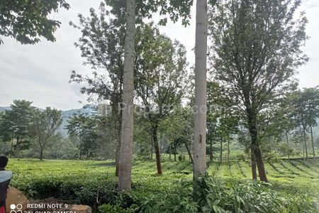 Dijual Tanah Daerah Puncak, Cisarua, Jawa Barat