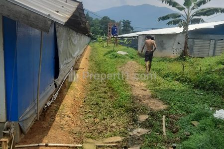 Jual Cepat Tanah SHM Luas 1,5 Hektar, Ada Ternak Ayam Aktif di Jasinga, Bogor, Jawa Barat