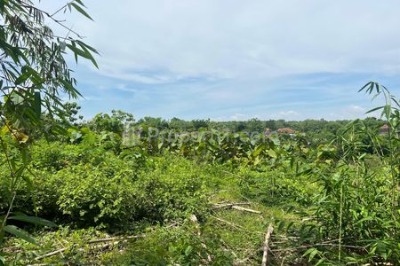 Jual Tanah Murah 970m² Hanya 75 Juta di Sambirejo, Sragen