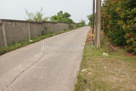 Jual Murah Nego Tanah SHM Luas 27 Hektar, Akses Jalan Cor, Cocok Rumah Subsidi di Desa Cerenang, Cisoka, Tangerang, Banten