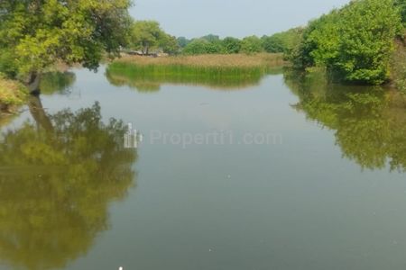 Jual Tambak Udang Vaname & Bandeng di Dinas Perikanan, Pasuruan, Jawa Timur