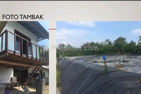 Disewakan Tambak Udang Fasilitas Lengkap di Negara Jembrana Bali