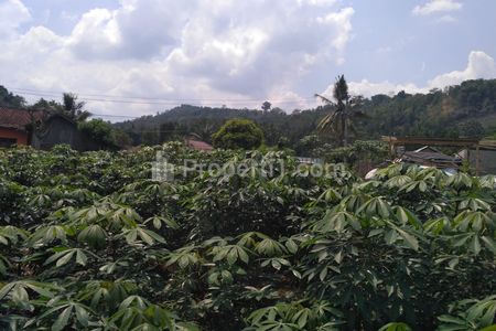 Jual Cepat Tanah Siap Bangun Luas 963m2 di Jalan Morotai, Bakung, Teluk Betung Barat, Bandar Lampung