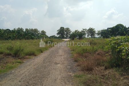 Tanah Dijual Kavling Hook dan Dua Kilometer dari Gerbang Tol Gabus Tambun Utara Bekasi