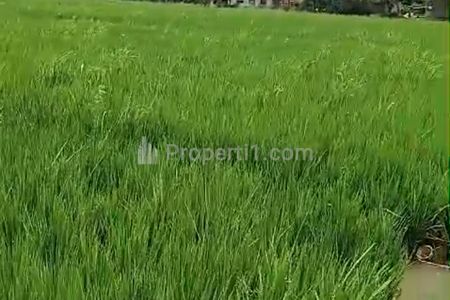 Jual Cepat Butuh Uang Tanah 1 Hektar Daerah Ciwalen Soreang Cianjur