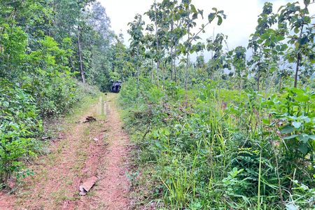 Dijual Tanah Pekarangan 1 Hektar – Sambirejo, Sragen, Solo