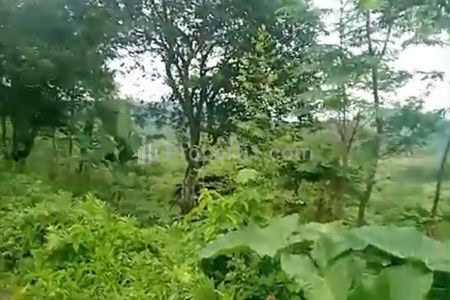 Jual Murah Tanah SHM Luas 24 Hektar, Bisa Sampai 100 Hektar, Cocok Rumah Subsidi, Zona Kuning di Jonggol, 4 Km Dari Alun Alun Jonggol, Bogor