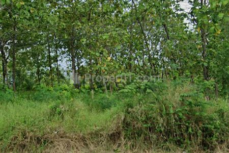 Jual Tanah 7320 m2 SHM Main Road Bebas Banjir untuk Resort Hotel Resto Cafe Komersial Residensial di Jalan Raya Jatiwangi Majalengka Jawa Barat