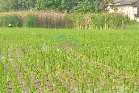 Jual Tanah di Desa Karang Sari Cikarang Timur