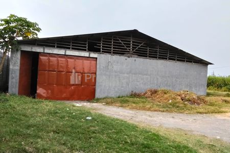 Disewakan Gudang di Prambon Sidoarjo
