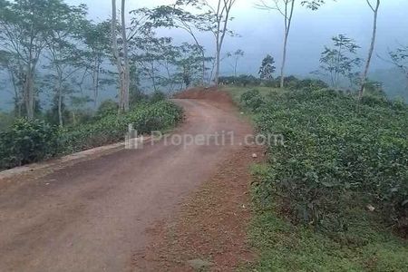 Dijual Tanah Kebun Produktif Pinggir Jalan di Sodonghilir Kabupaten Tasikmalaya 