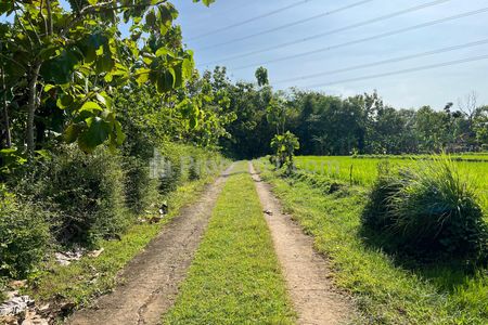 Dijual Tanah Subur 5360m² View Gunung Lawu Sragen, Jawa Tengah