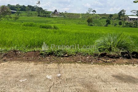 Dijual Tanah Datar Subur Luas 1670m2 di Karangpandan, Karanganyar, Solo, Jawa Tengah