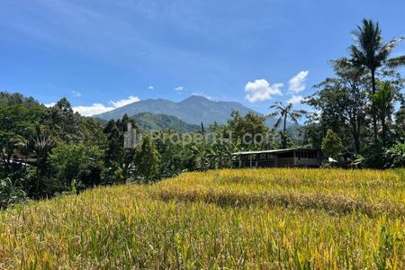 Dijual Tanah Dialiri Sungai Pegunungan Lawu Karanganyar - Cocok Dibangun Villa / Homestay / Dll