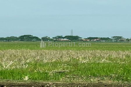 Jual Tanah 2,2 Hektar SHM Harga Murah Super Strategis Untuk Industri Manufaktur dan Pergudangan Dekat Pelabuhan Internasional Patimban Subang