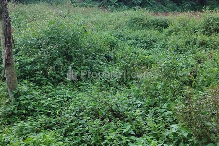 Jual Tanah Kosong Luas di Bojong Kamal, Legok, Tangerang