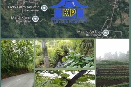 For Sale Lahan Subur 600 Hektar di Padalangan Banyakprodo Wonogiri Jawa Tengah