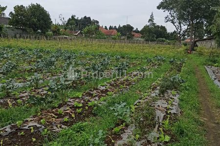 Jual Tanah Luas Strategis di Jalan Kayu Ambon Lembang, Cocok untuk Resort & Wisata