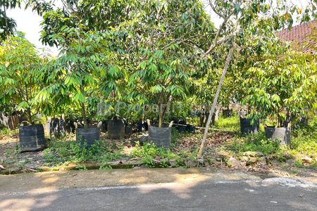 Dijual Tanah Strategis 405m2 Utara Mojogedang Karanganyar Solo