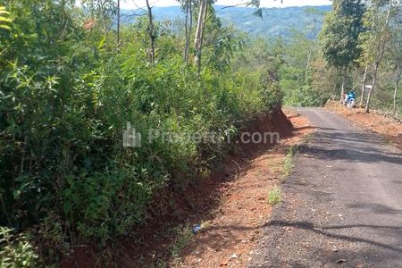 Dijual Tanah Kebun Produktif Pinggir Jalan di Sodonghilir Kabupaten Tasikmalaya