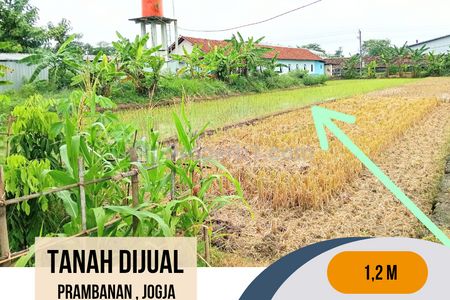 Tanah Dijual di Prambanan Jogja Luas 613 m2
