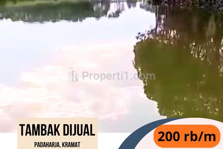 Dijual Tambak di Padaharja Kramat Tegal Jawa Tengah