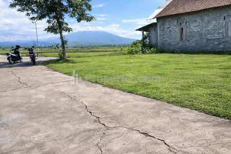 Dijual Tanah Strategis 190m2 150 Juta di Kedawung Sragen