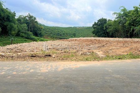 Jual Cepat Tanah Datar 1685m2 Harga 325 Juta di Mojogedang Karanganyar, Jawa Tengah