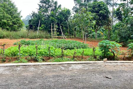 Jual Tanah View Belakang Sungai dan Sawah Cantik Luas 1000m2 di Mojogedang Karanganyar Jawa Tengah