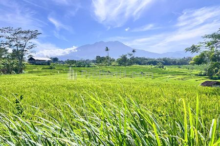 Dijual Tanah Datar View Gunung Lawu di Karangpandan, Karanganyar