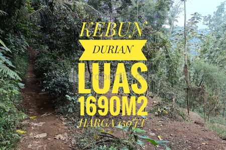 Dijual Kebun Durian Termurah Luas 1.690 m² SHM di Tajinan Malang