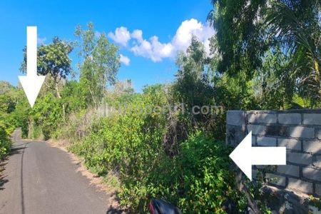 Dijual Tanah Sangat Luas di Jalan Gayang Sari, Kabupaten Badung, Bali