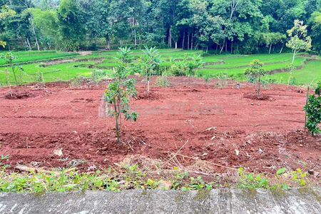 Jual Tanah Kebun Buah Luas 1500m2 di Kerjo, Karanganyar, Jawa Tengah
