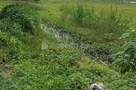 Dijual Tanah Sawah Bentuk Segiempat di Rorotan Jakarta Utara