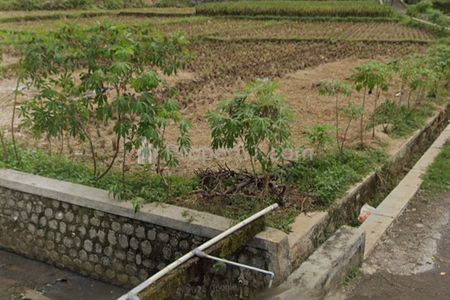 Jual Tanah Sawah Produktif di Jalan Desa Sindangkasih Beber Cirebon