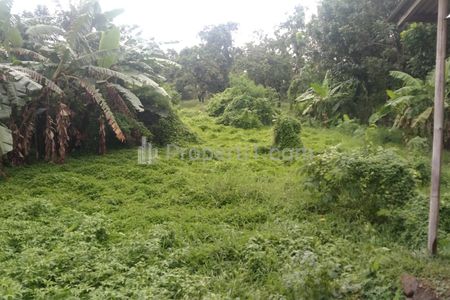 Dijual Tanah untuk Usaha dan Gudang Serta Rumah Kantor Pinggir Jalan Pantura Pusakanagara, Subang, Jawa Barat