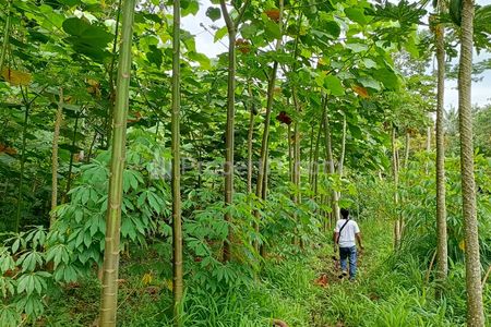 Dijual Kebun Subur SHM Dekat Kota di Tajinan Malang – Jarang Ada