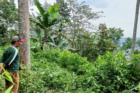 Dijual Cepat Kebun Durian View Alam di Tajinan Kota Malang