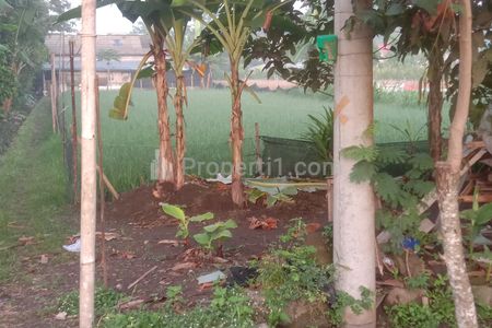 Jual Tanah Sawah di Karangsari Wedomartani Ngemplak Sleman