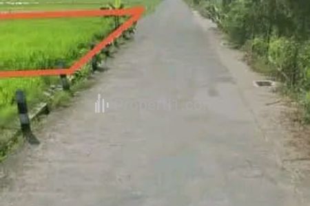 Jual 𝗧𝗮𝗻𝗮𝗵 𝗦𝗮𝘄𝗮𝗵 𝗣𝗿𝗼𝗱𝘂𝗸𝘁𝗶𝗳, 𝘀𝘂𝗮𝘀𝗮𝗻𝗮 𝘁𝗲𝗻𝗮𝗻𝗴, 𝘂𝗱𝗮𝗿𝗮 𝗯𝗲𝗿𝘀𝗶𝗵 𝗱𝗶 𝗠𝗮𝗱𝘂𝗿𝗲𝗷𝗼, Prambanan Sleman Yogyakarta