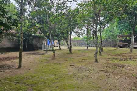 Jual Tanah Luas Bonus Rumah Tinggal View Sawah & Sawah di Seyegan Sleman Yogyakarta