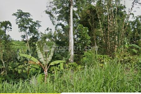 Dijual 6 ha Tanah Nol Jalan di Kalipucang, Tutur, Pasuruan, Jawa Timur - Cocok Buat Peternakan, Perkebunan - Akses Jalan Berpaving Lebar 4 Meter