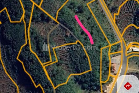 Jual Lahan Premium di Pantai nNgedan Gunungkidul - Hanya 750.000/m2