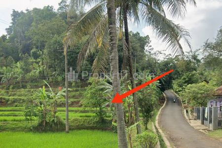 Dijual Tanah Sawah di Wado Sumedang
