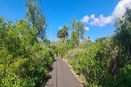 Dijual Tanah Sangat Luas di Jalan Gayang Sari, Kabupaten Badung